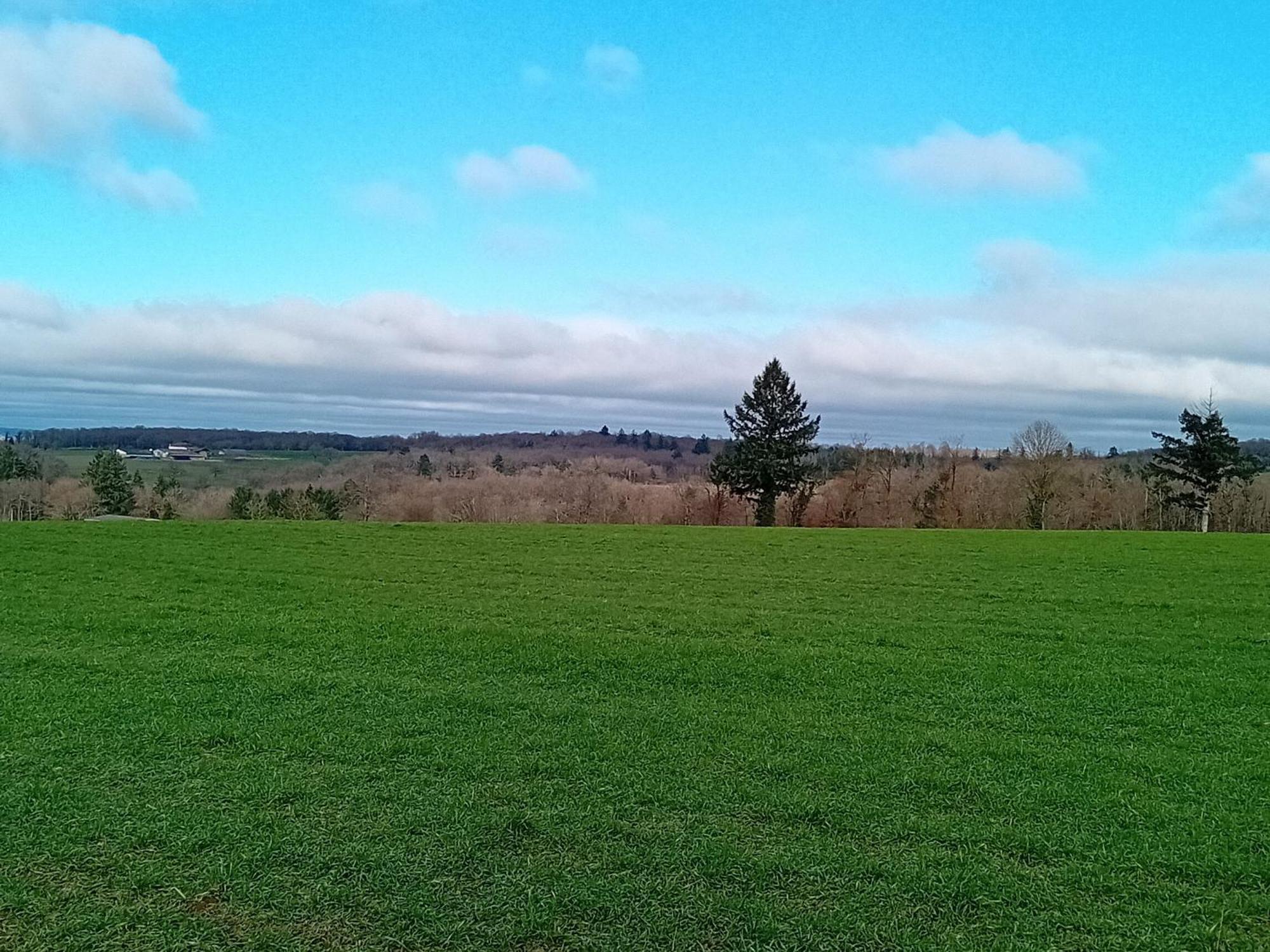 Tranquille Vienne Gites A Chirac Dept Charente Exterior foto